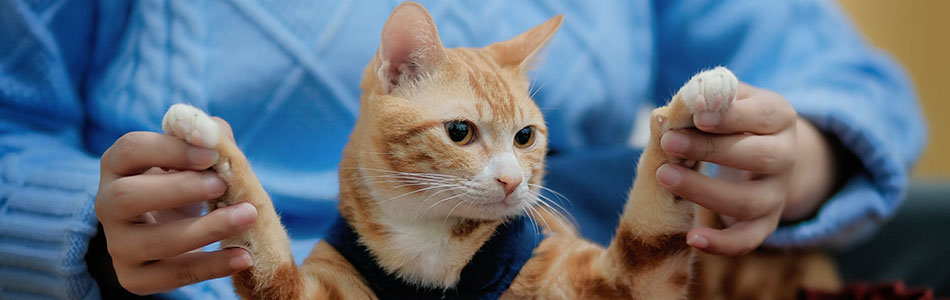 2021-12-05观澜河人工湿地