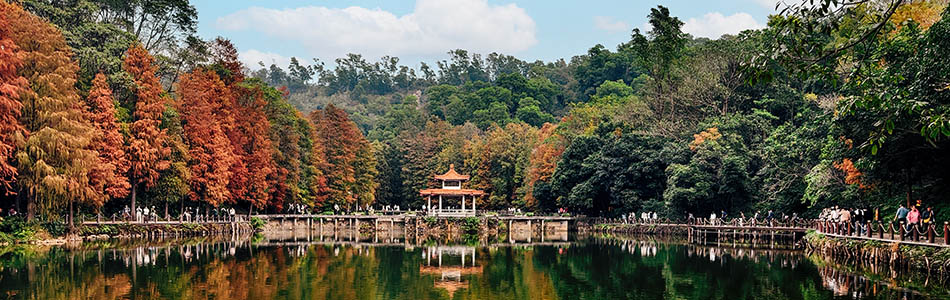 仙湖植物园,手机拍摄