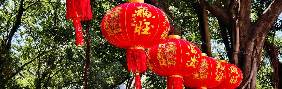 2025-02-09 华强北博物馆