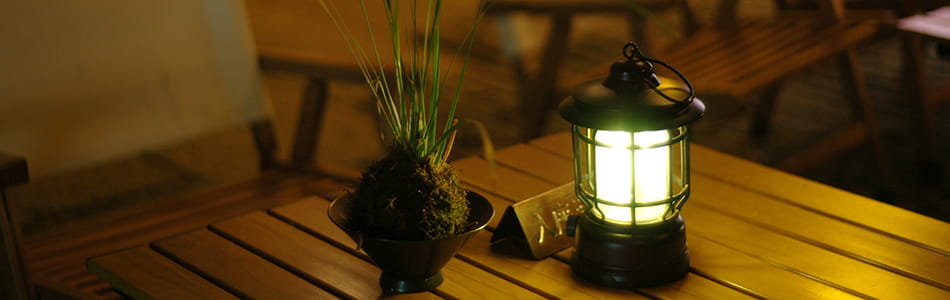 2025-03-18,晚上扫街，南门一坊，南头古城