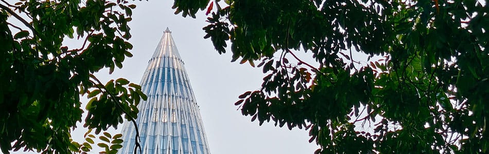 2025-03-20 深圳湾春笋扫街