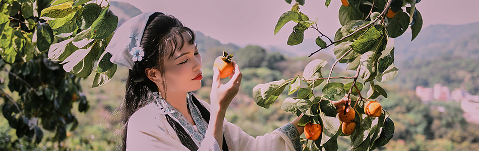 2025_10_26 广州柿子