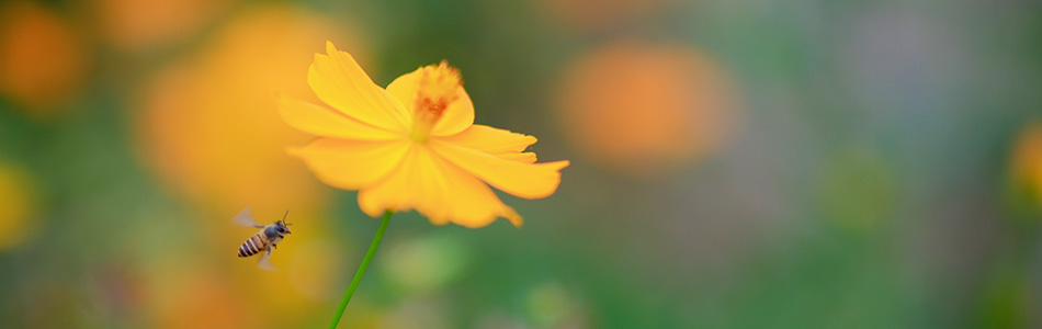 2025_11_02 西丽生态园