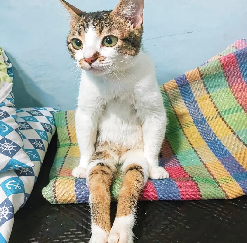 坐等.jpg 坐等.jpg