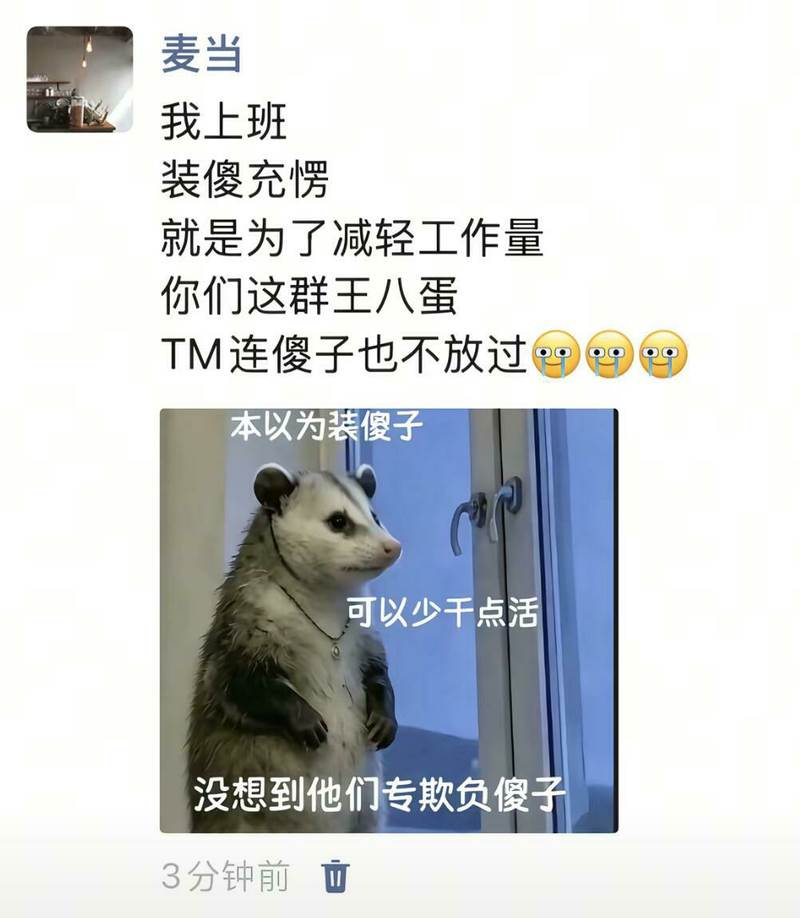 欺负傻子.jpg